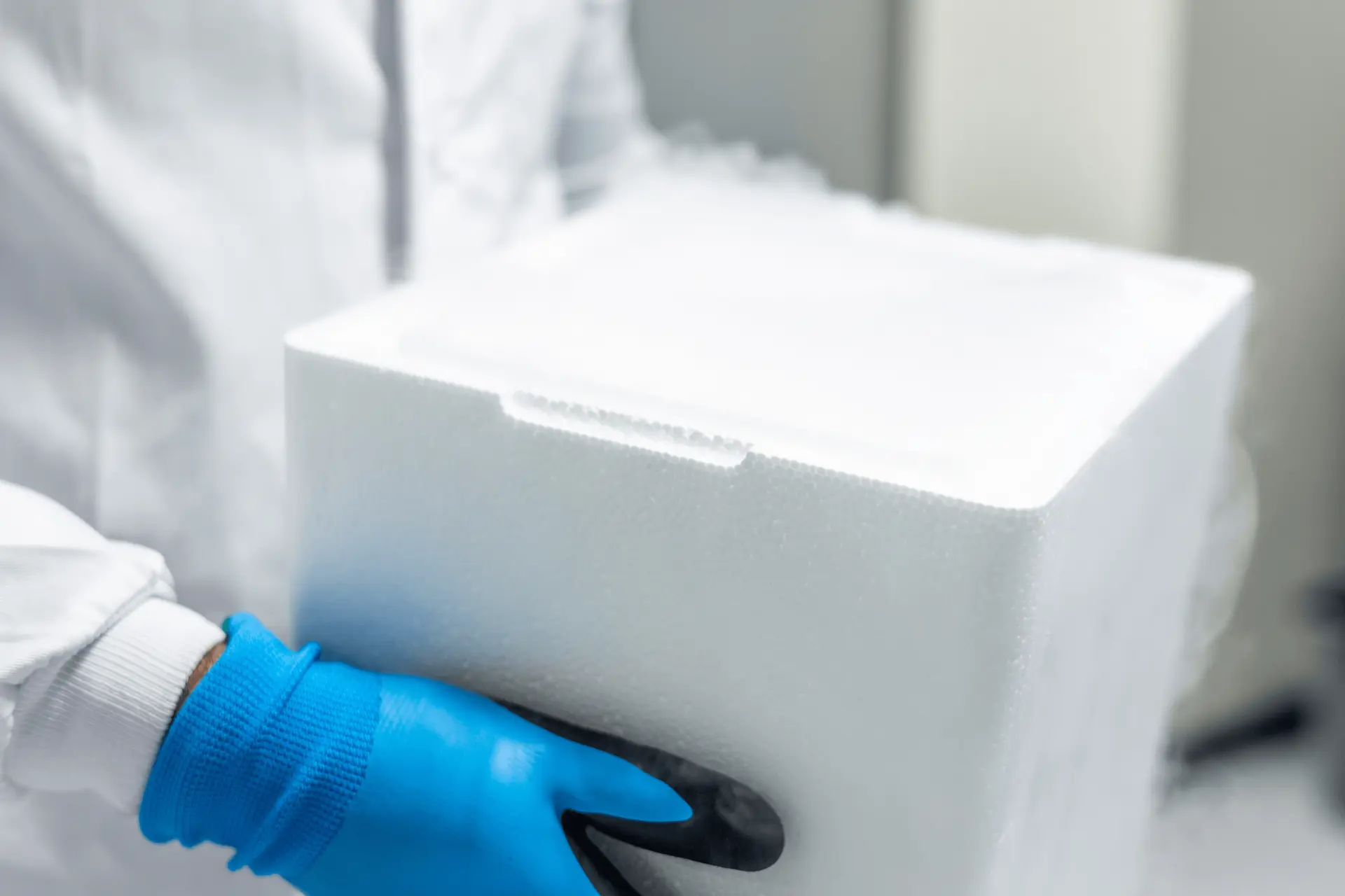 Insulated cold-chain shipping container